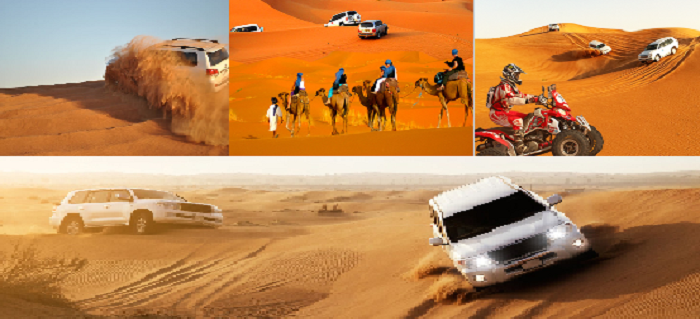 Royal Desert Safari