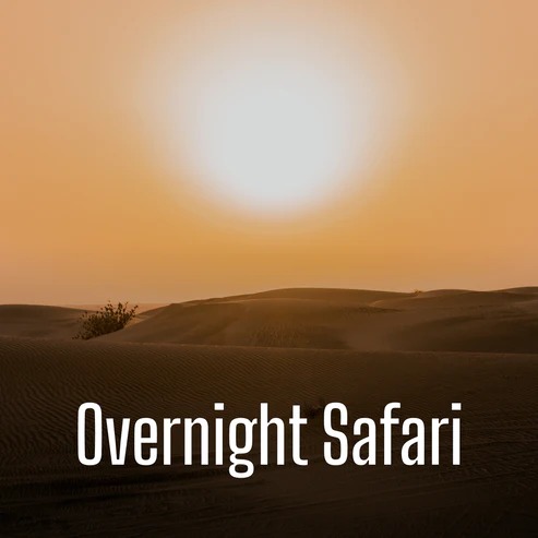 Overnight Desert Safari