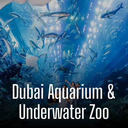 Dubai Aquarium  Underwater Zoo