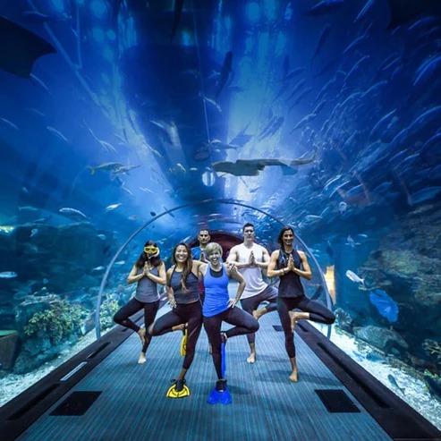 Dubai Aquarium  Underwater Zoo