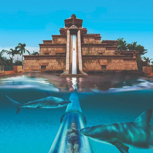  Atlantis Aquaventure Waterpark