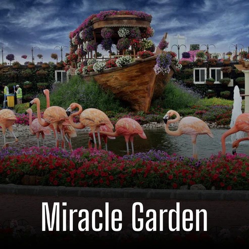 Miracle Garden