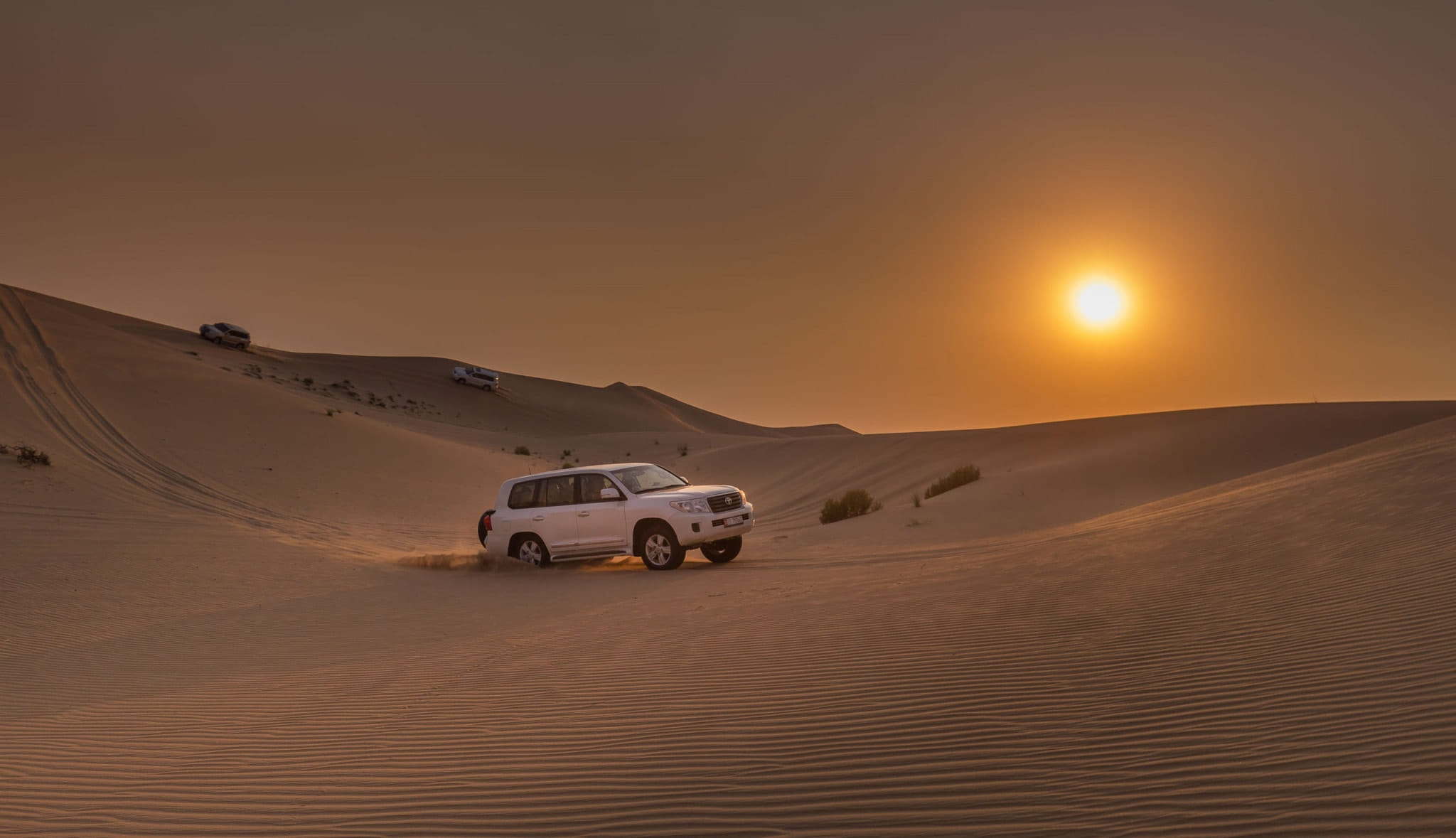 Evening Desert Safari