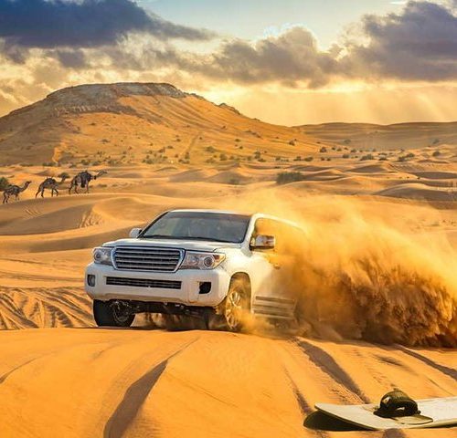 Best Morning Desert Safari Dubai