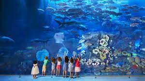 Dubai Aquarium and Underwater Zoo 