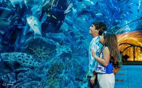 Dubai Aquarium and Underwater Zoo 