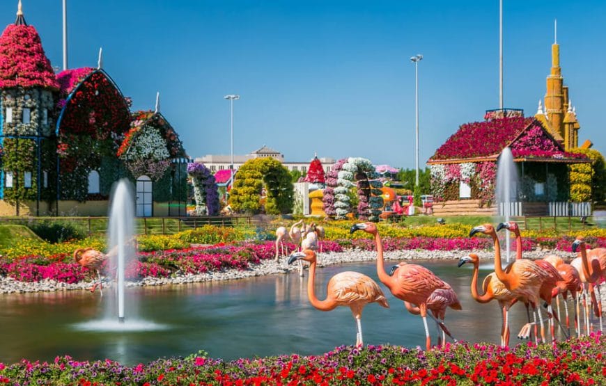 Dubai Miracle Garden With Global Village Combo Tour