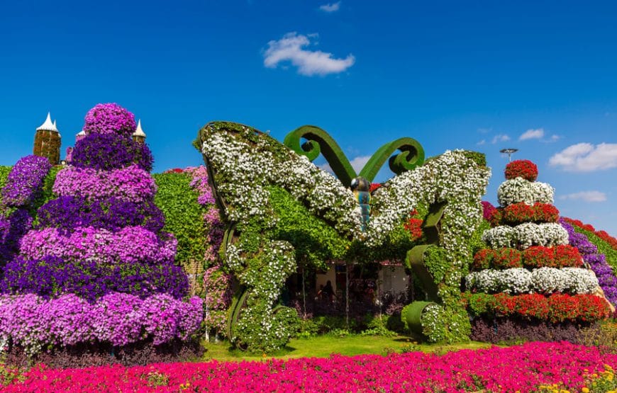 Dubai Miracle Garden With Global Village Combo Tour