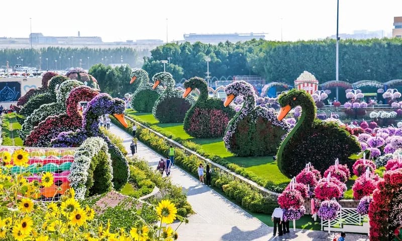 Miracle Garden  Butter Fly Garden Tickets in Dubai