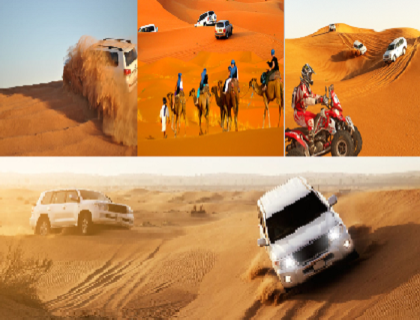 Royal Desert Safari