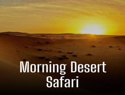 Private Morning Desert Safari in Red Sand