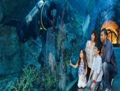 Dubai Aquarium and Underwater Zoo 