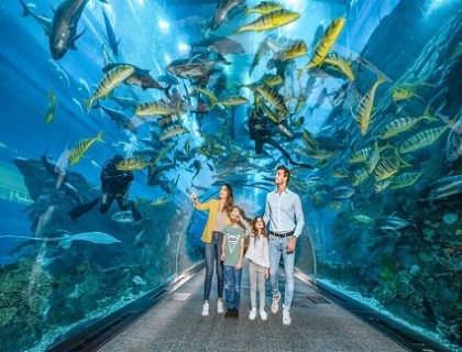 Dubai Aquarium and Underwater Zoo At Dubai Mall