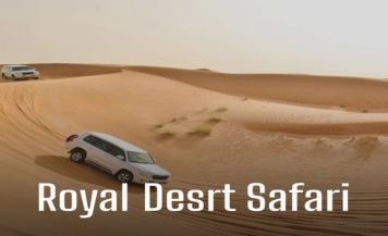 Desert Safari