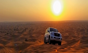 Private Morning Desert Safari in Red Sand