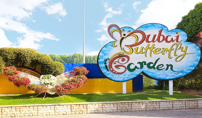 Miracle Garden  Butter Fly Garden Tickets in Dubai